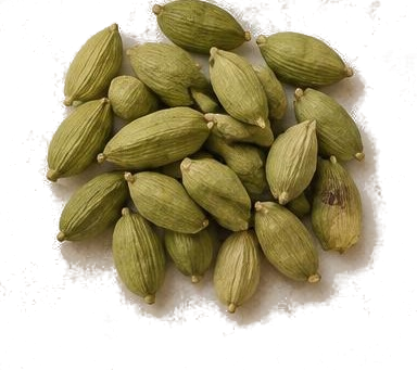 Cardamom — illustrative raw material