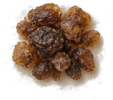 Labdanum — illustrative raw material