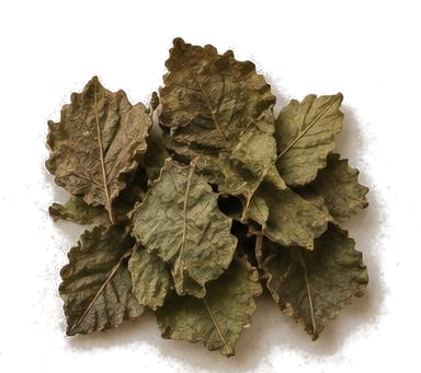 Patchouli — illustrative raw material
