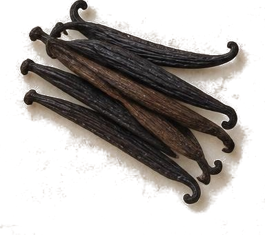 Vanilla absolute — illustrative raw material